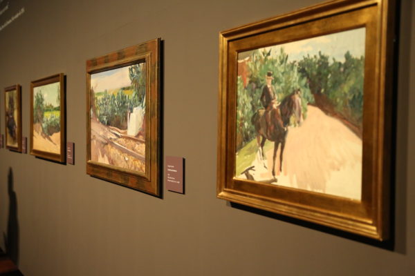 inauguracin-de-la-exposicin-sorolla-tierra-adentro-en-el-museo-de-santa-cruz_39319751532_o