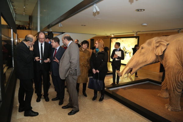 inauguracin-de-la-tercera-fase-del-museo-de-paleontologa_24743162557_o