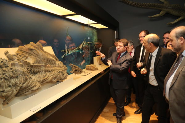 inauguracin-de-la-tercera-fase-del-museo-de-paleontologa_25740320278_o