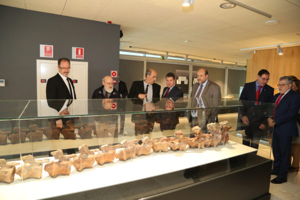 inauguracin-de-la-tercera-fase-del-museo-de-paleontologa_38715097445_o