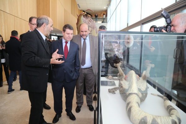 inauguracin-de-la-tercera-fase-del-museo-de-paleontologa_39581808282_o